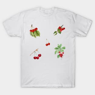 Vintage Cherry Pattern Retro Collection T-Shirt